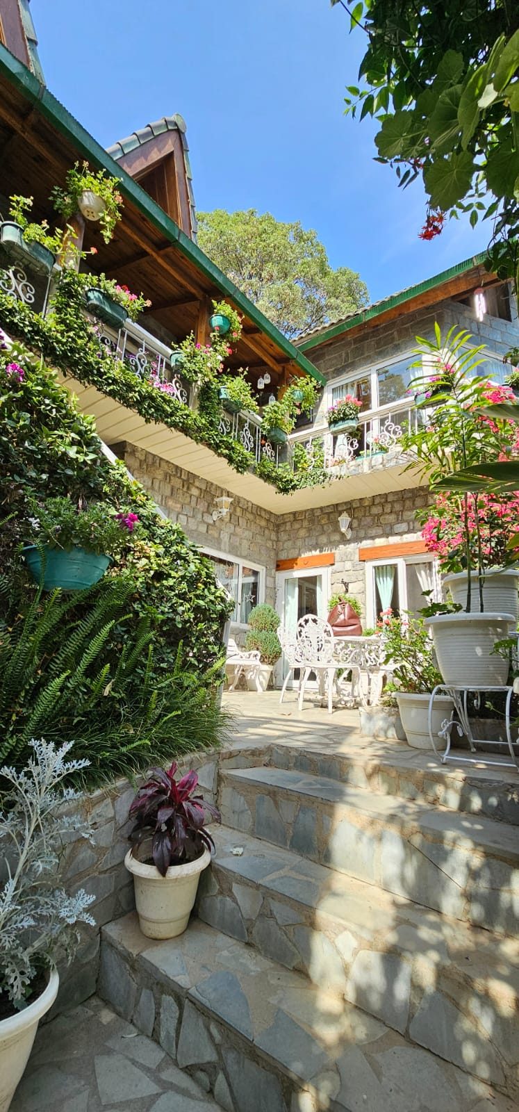Stone steps rising to a sunlit courtyard and the flower-covered stone house
