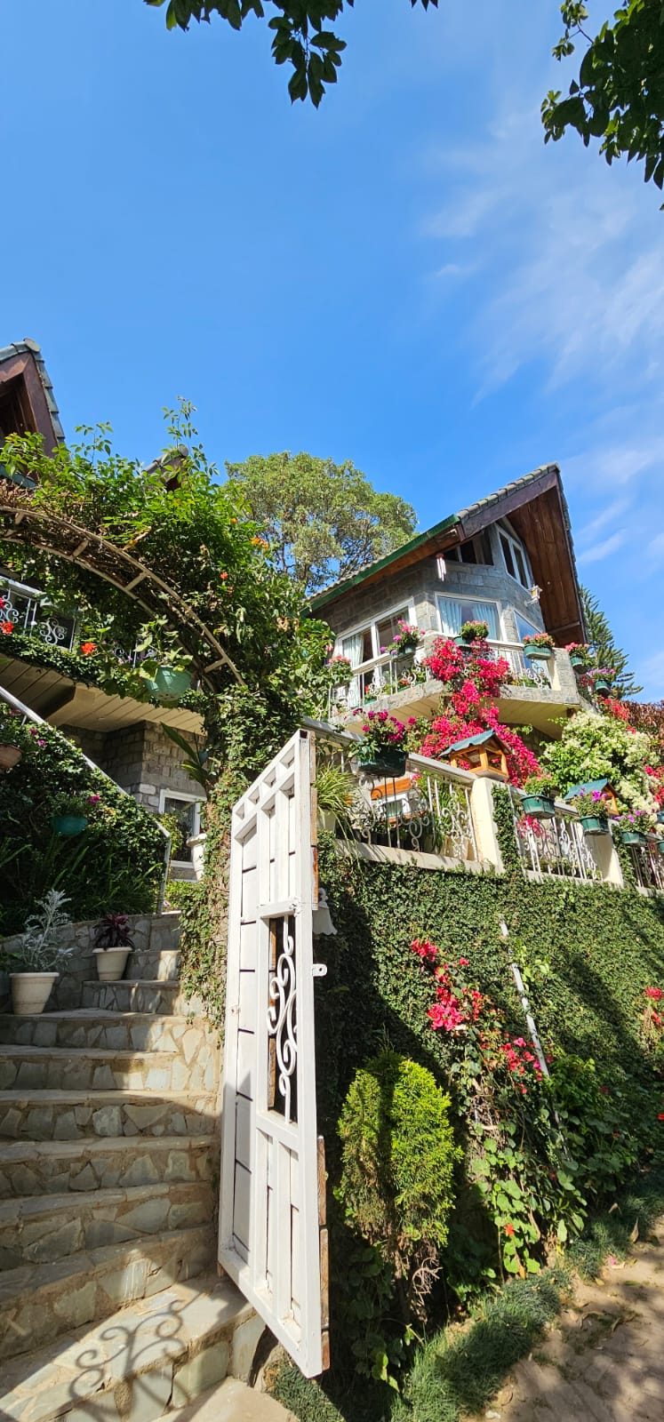 A white wrought-iron gate opening onto stone steps, bougainvillea and the house above